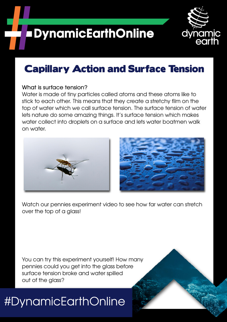 Capillary Action and Surface Tension by dynamicearth Flipsnack