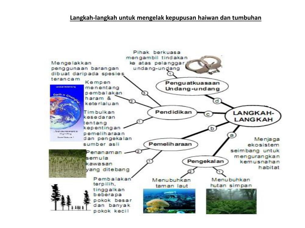 langkah mengatasi kepupusan flora dan fauna