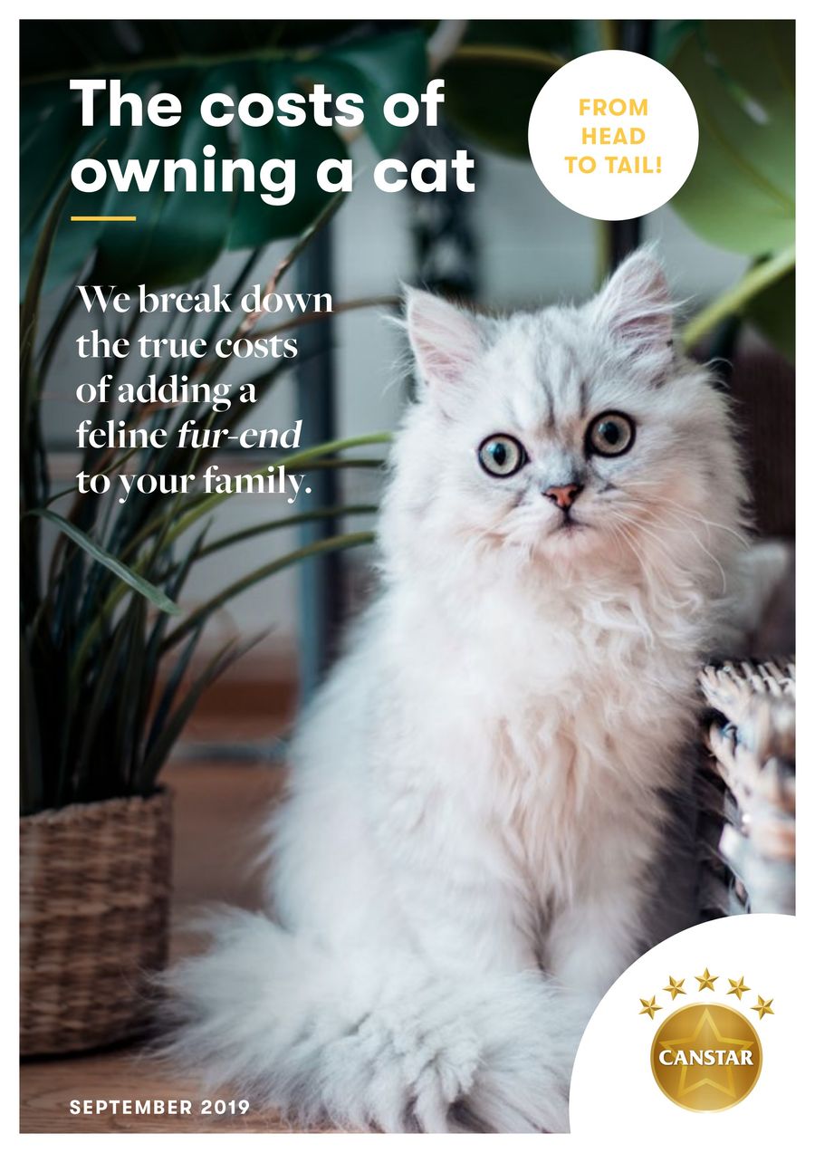 Canstar Cat Ownership Guide by Canstar Flipsnack
