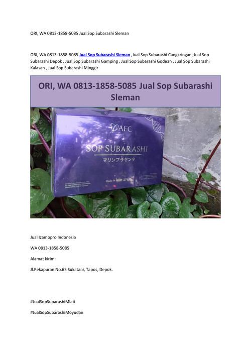 ORI, WA 0813-1858-5085 Jual Sop Subarashi Sleman