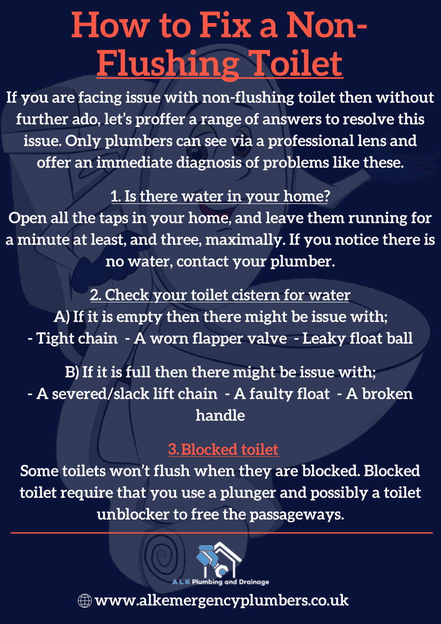 How to Fix a Nonflushing Toilet by ALK Plumbers Flipsnack