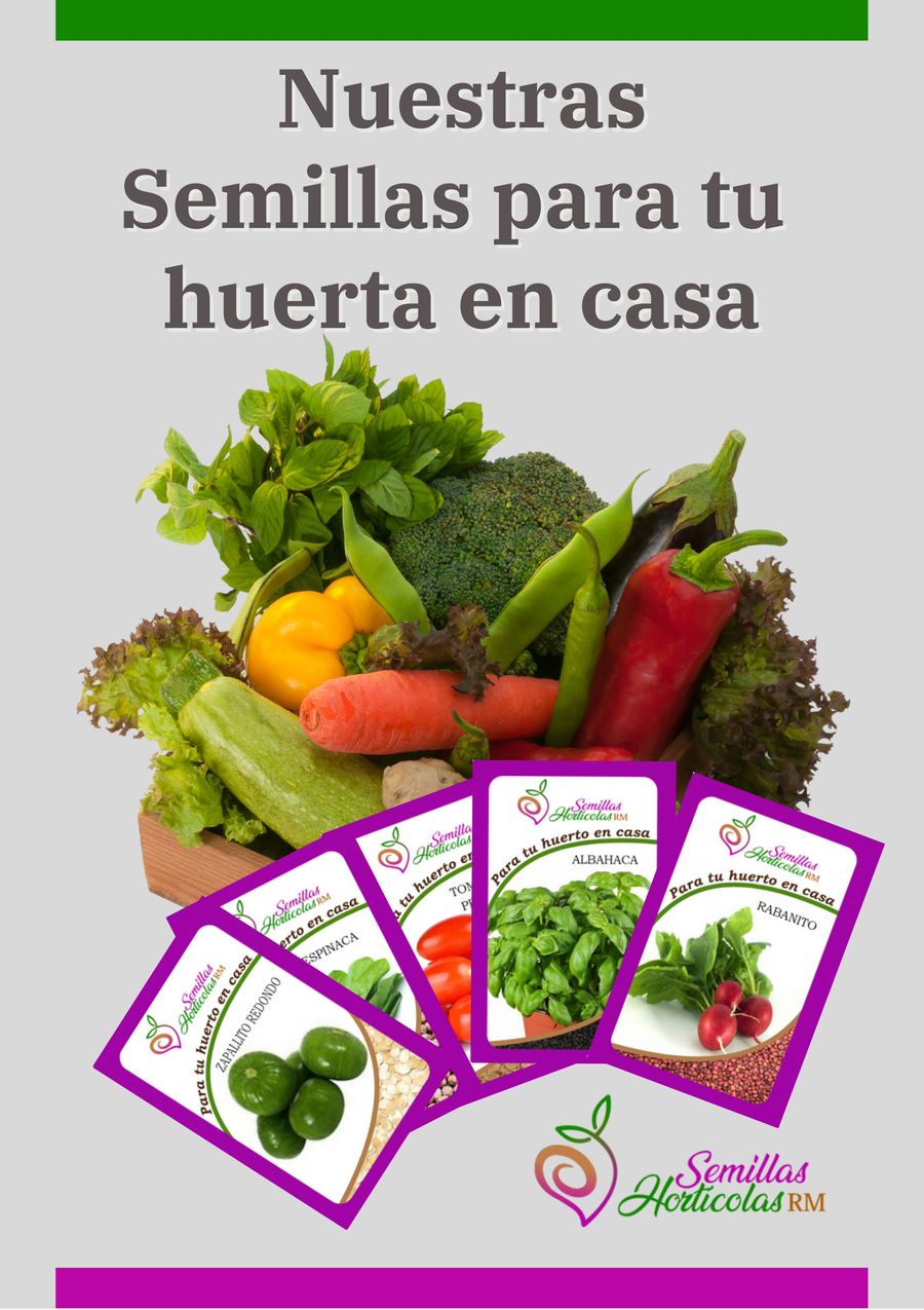 Catalogo de Semillas para tu huerta en casa by - Flipsnack